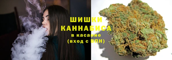 хмурый Вяземский