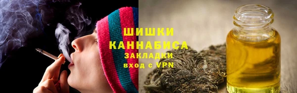 молекула духа Горно-Алтайск