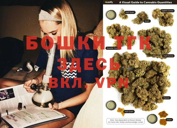 молекула духа Горно-Алтайск