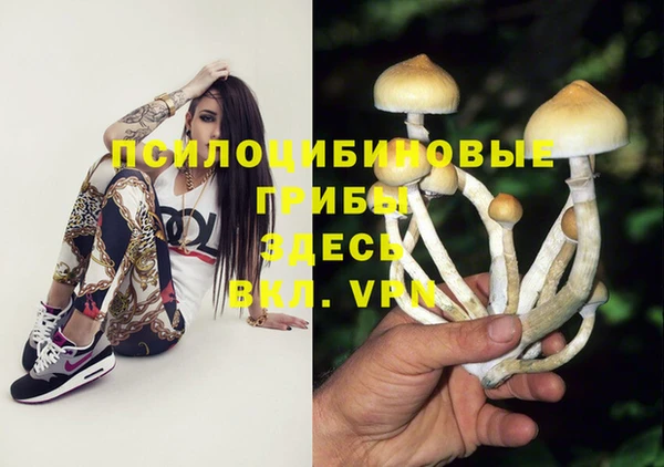 стаф Верхнеуральск