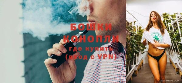 дживик Саяногорск