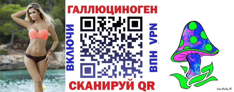 Псилоцибиновые грибы Psilocybine cubensis Зверево