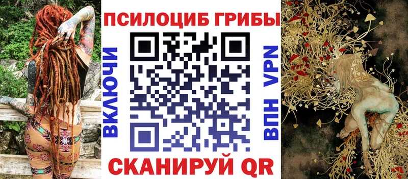 продажа наркотиков  Зверево  ссылка на мегу зеркало  Галлюциногенные грибы Psilocybine cubensis 